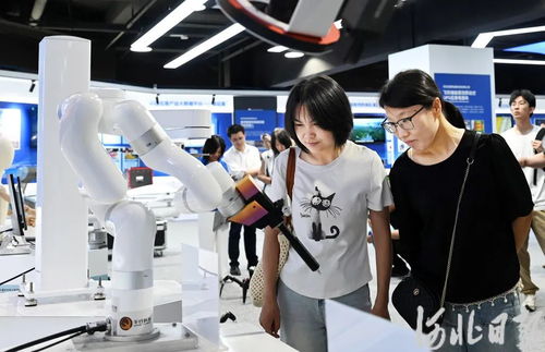 雄安新區(qū) 軟件開(kāi)發(fā)驅(qū)動(dòng)AI產(chǎn)業(yè)新生態(tài)加速形成